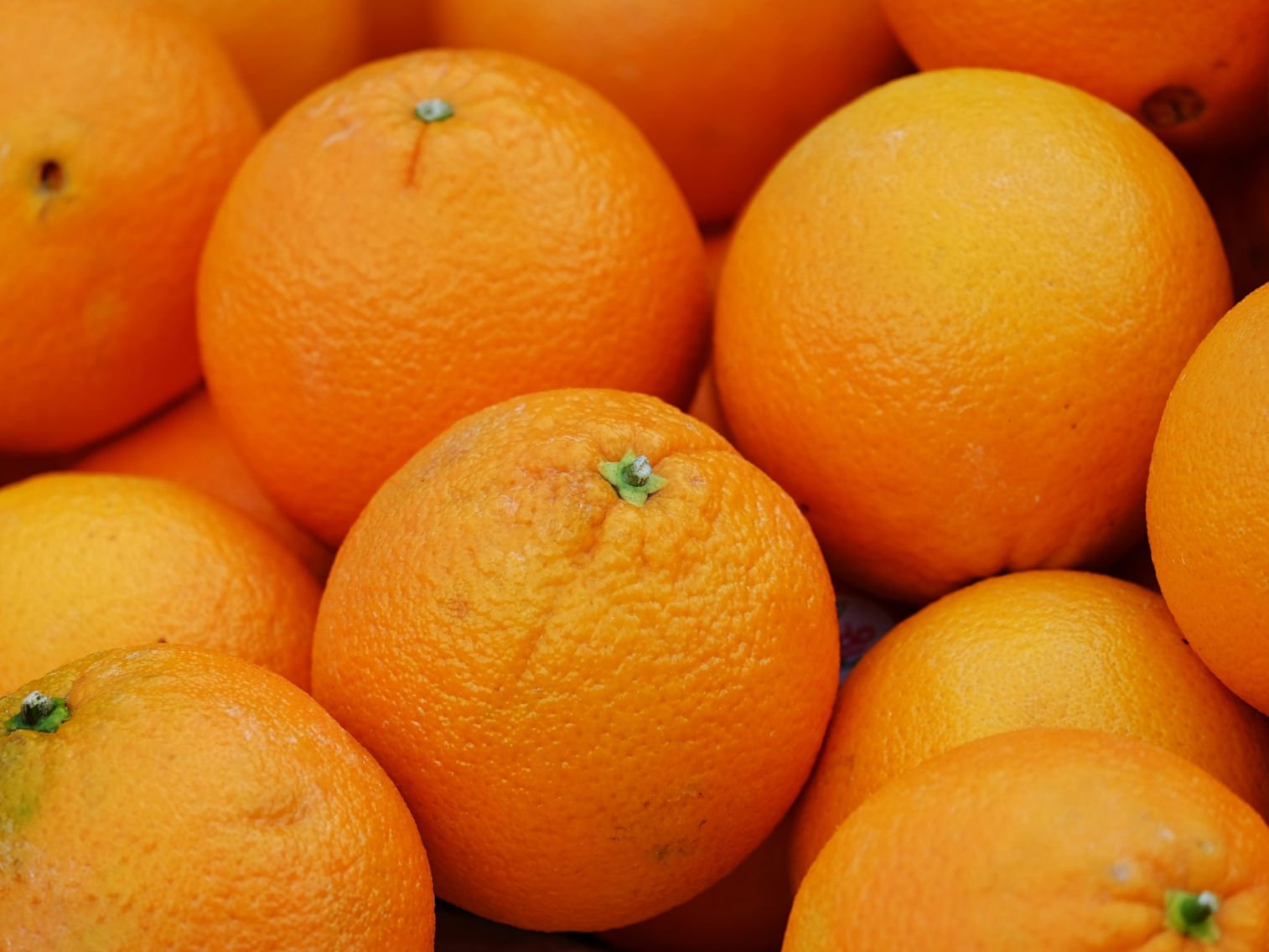 Oranges - Image 2